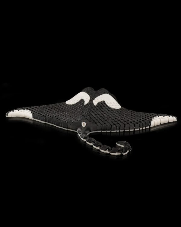 Manny, the Manta Ray - Image 3