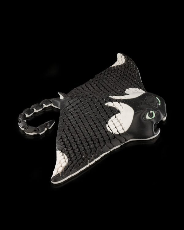 Manny, the Manta Ray - Image 2