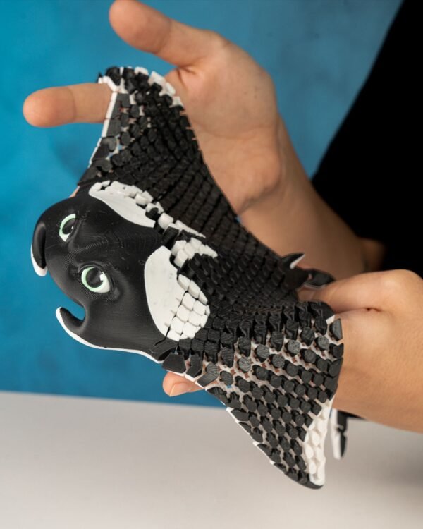 Manny, the Manta Ray - Image 4
