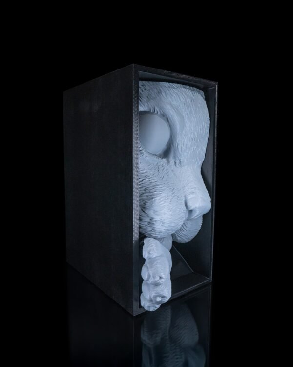 Cat's Curiosity - Image 3