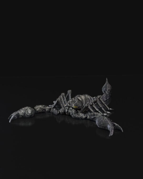 Emperor Scorpion - Image 2