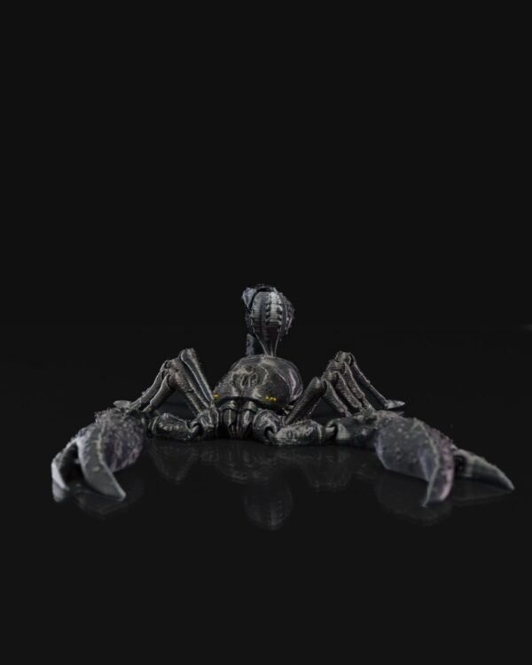 Emperor Scorpion