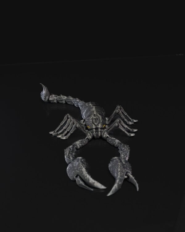 Emperor Scorpion - Image 4