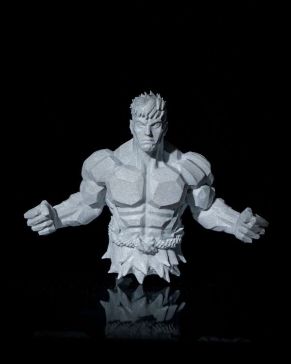 Super Warrior - Image 2