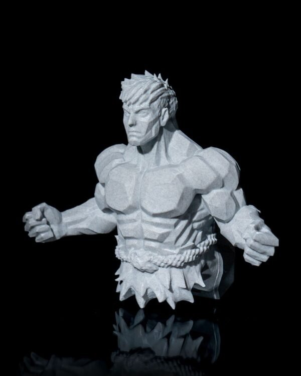 Super Warrior - Image 4